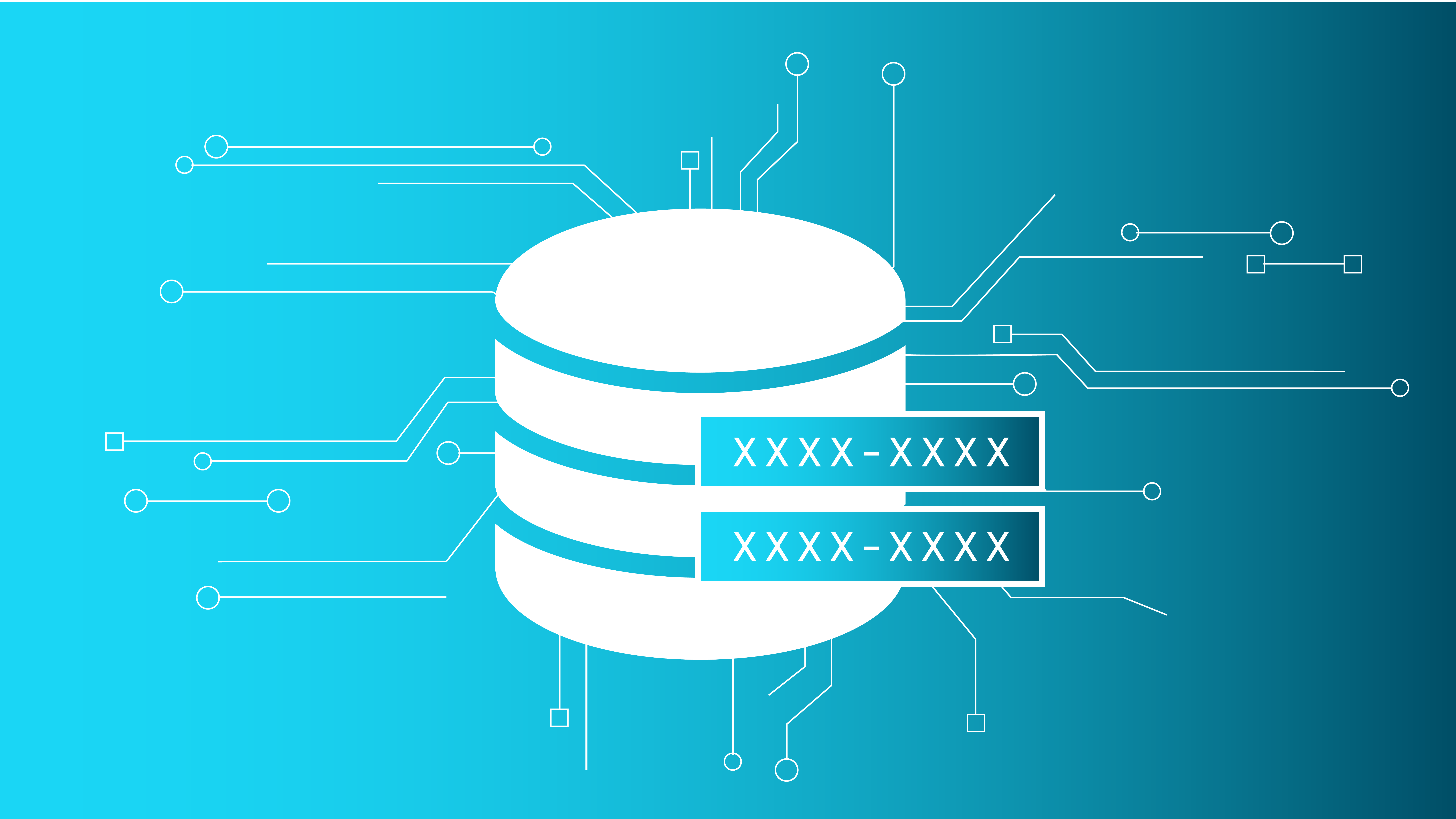 Sensitive data extraction and redaction thumbnail